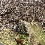 La Grange De L Ours Daire Font-Romeu-Odeillo-Via