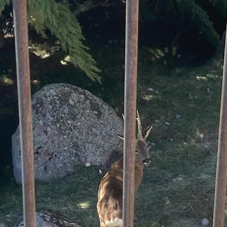 Apartman La Grange De L Ours